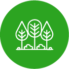 Plantings & Garden Landscaping